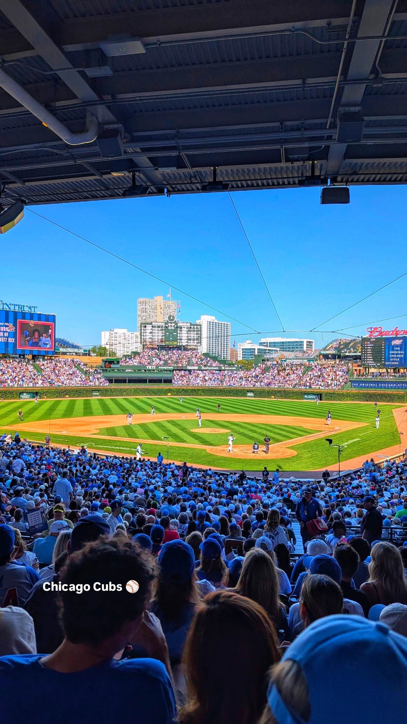 Chicago Cubs