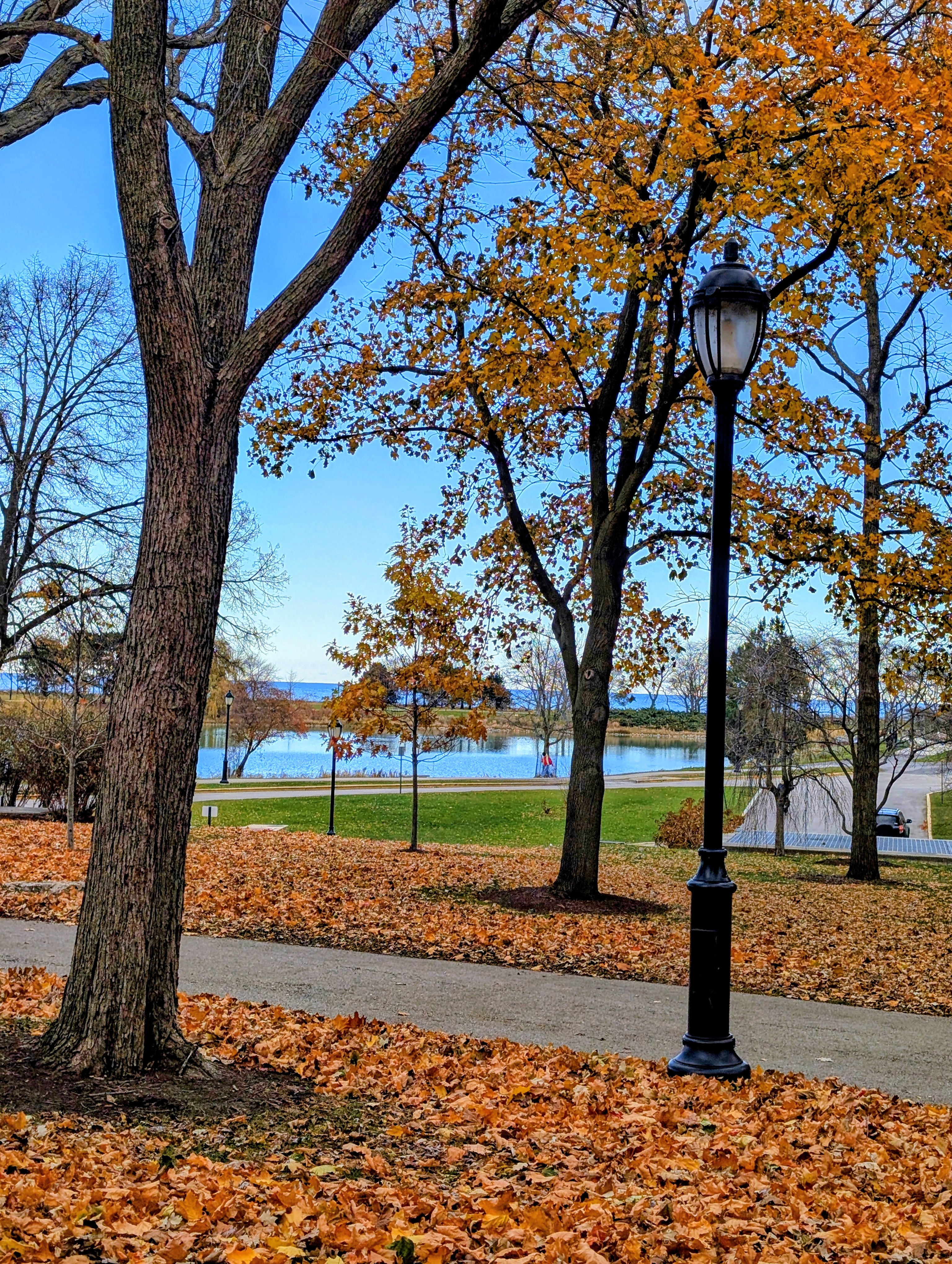 Fall