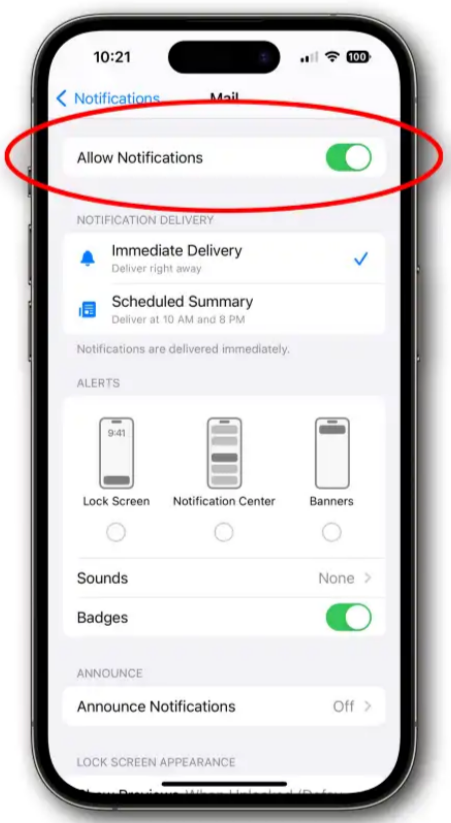 iOS Notifications Settings